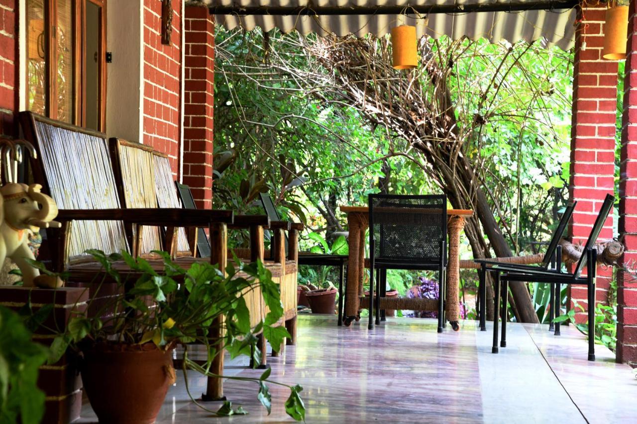 Baaz Jungle Resort Khawāsa 外观 照片