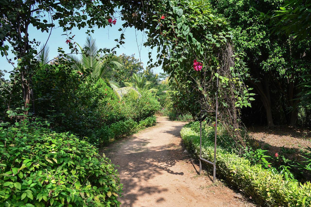 Baaz Jungle Resort Khawāsa 外观 照片