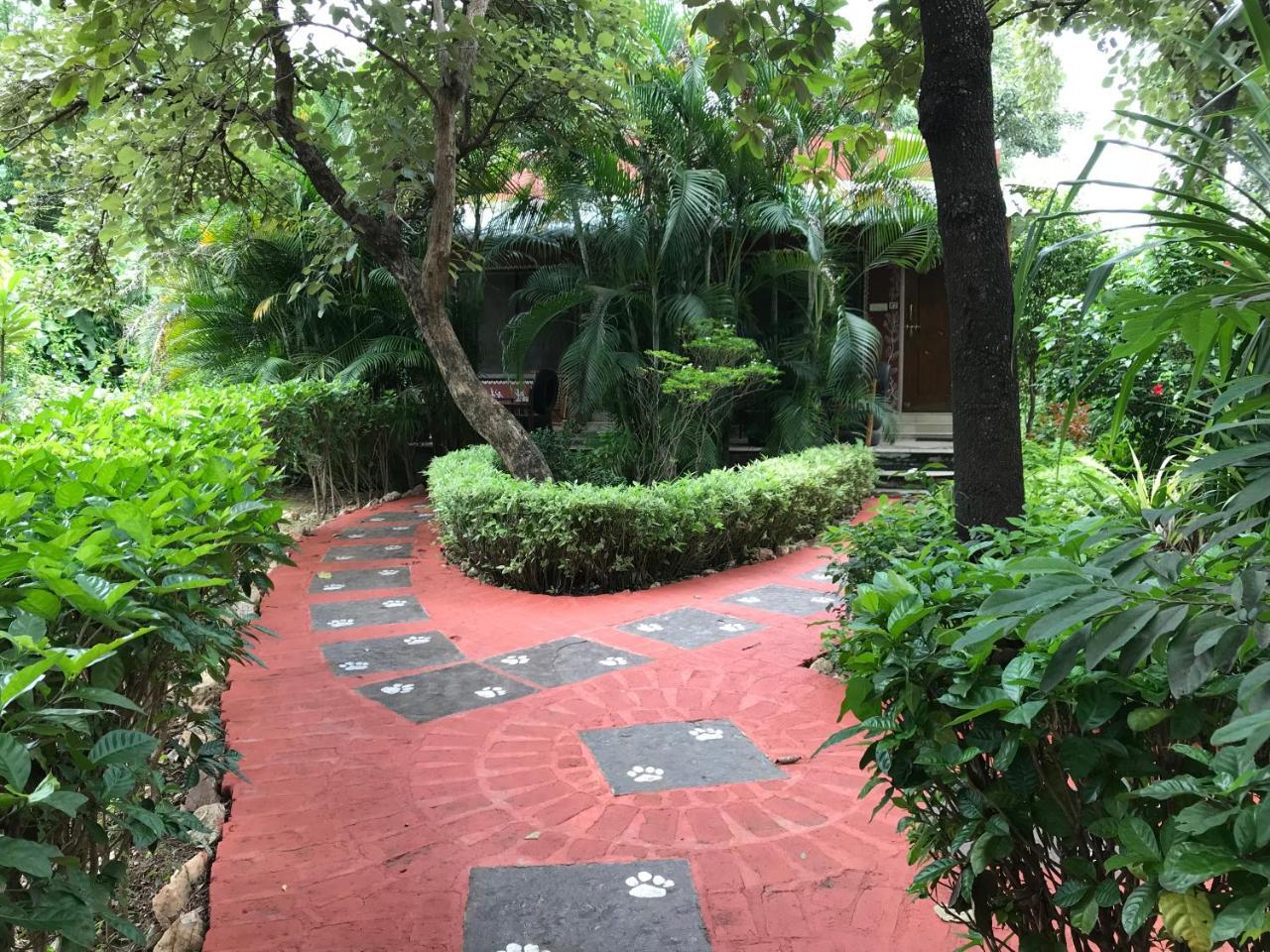 Baaz Jungle Resort Khawāsa 外观 照片