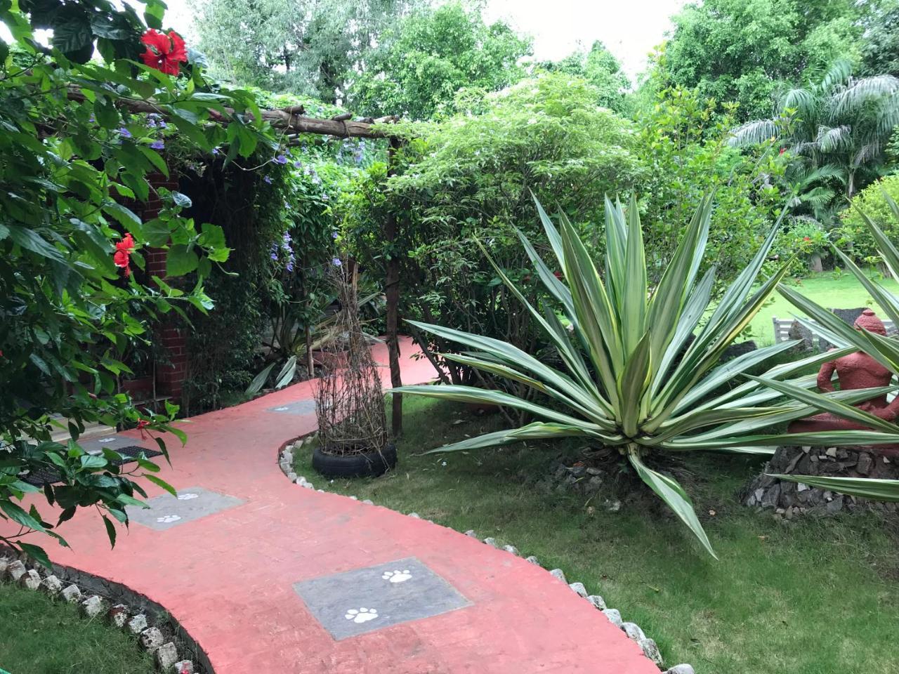 Baaz Jungle Resort Khawāsa 外观 照片